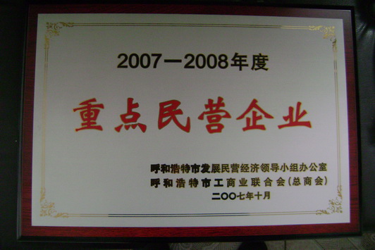 重点民营企业